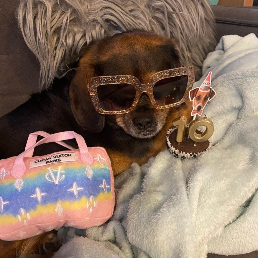 Pink Ombre Chewy Vuiton Handbag