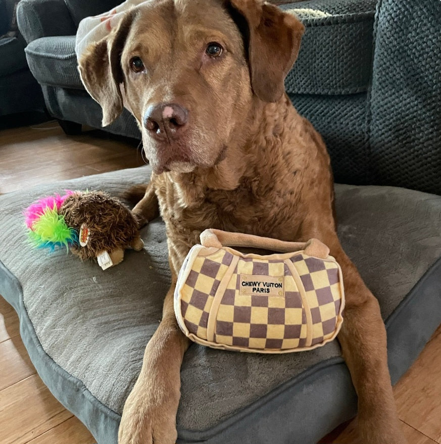 Chewy Vuiton Handbag