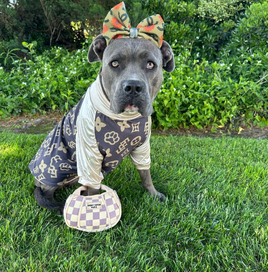 Chewy Vuiton Handbag