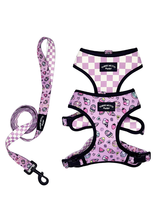 Mutts Market Sweet Mutt Reversible Dog Harness & Leash Set