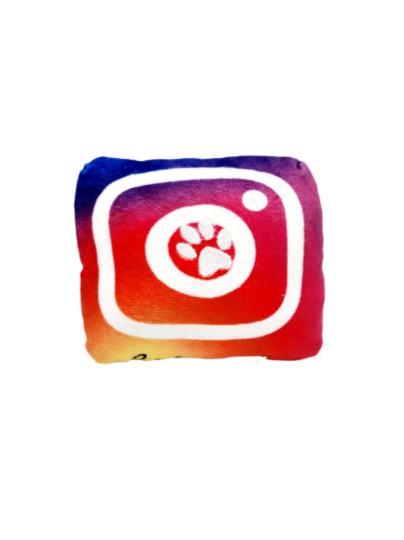 Instagrrram