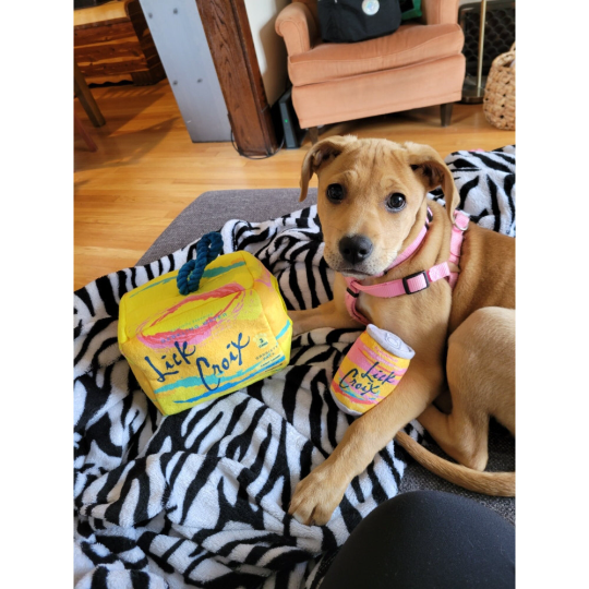 Lick Croix Grrriety Pack