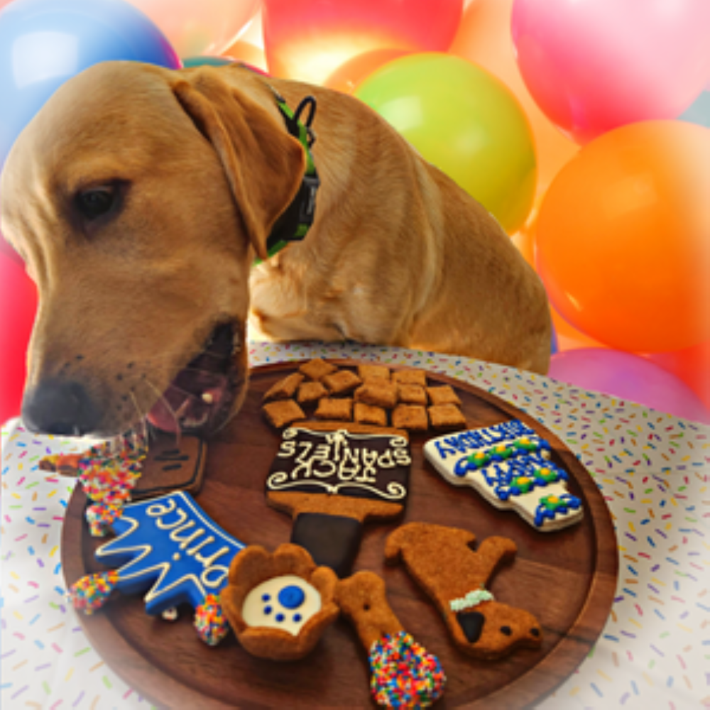 Birthday Boy Dog Treat Gift Box