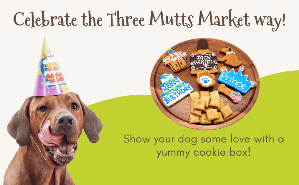 Birthday Boy Dog Treat Gift Box