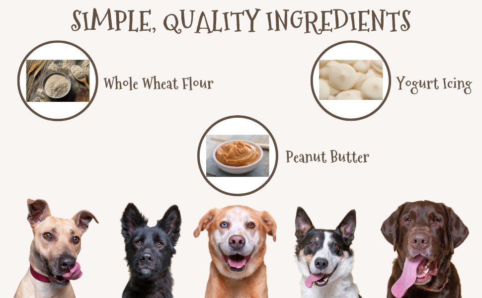 Birthday Boy Dog Treat Gift Box