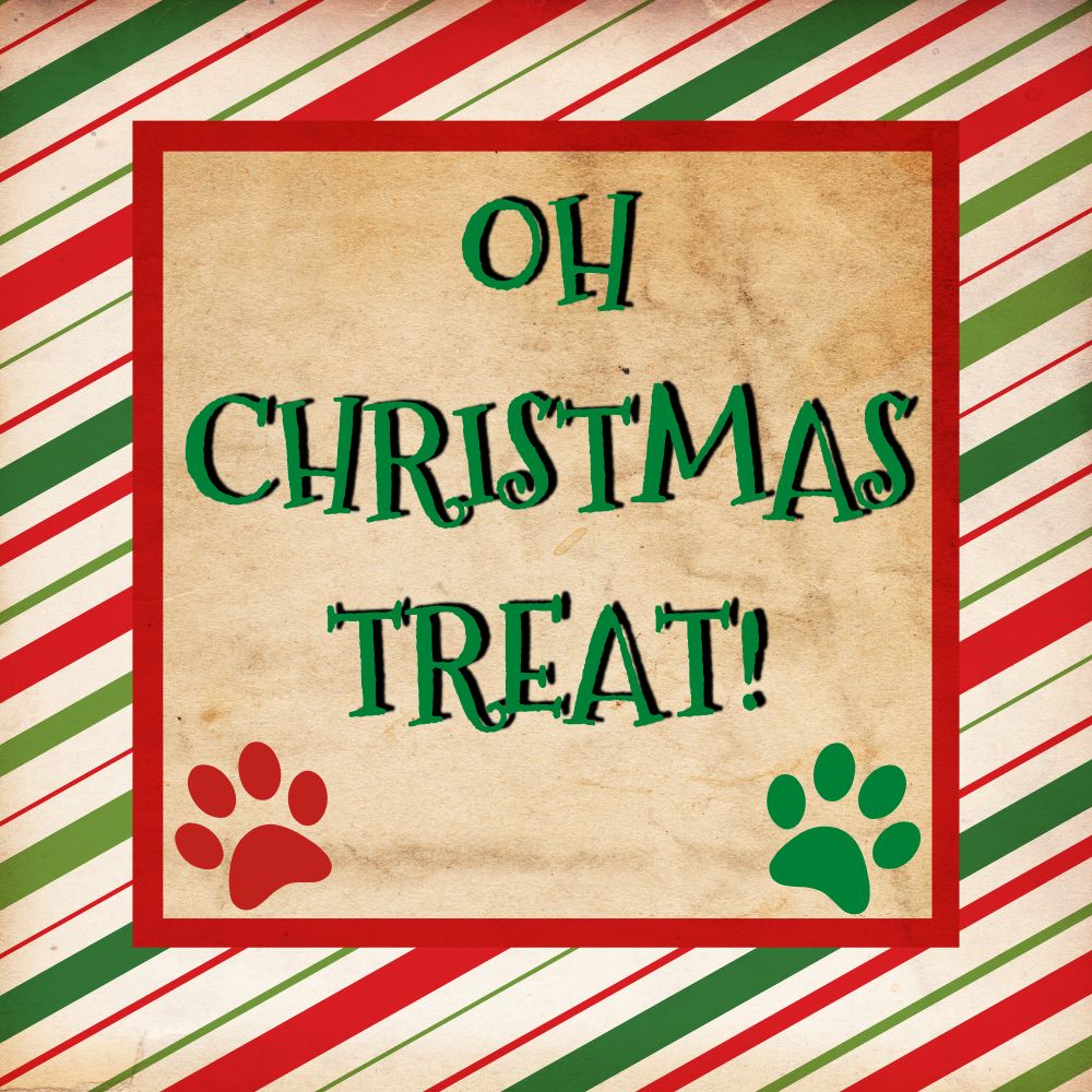 Christmas Pawty Dog Treat Gift Box