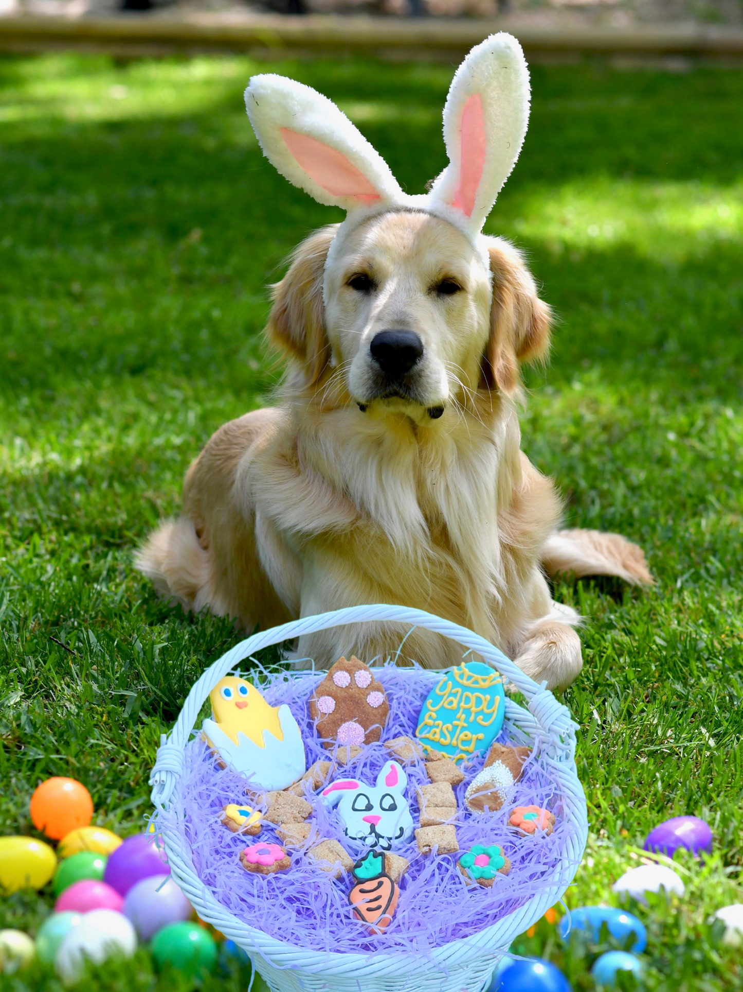 Happy Easter Dog Treat Gift Box