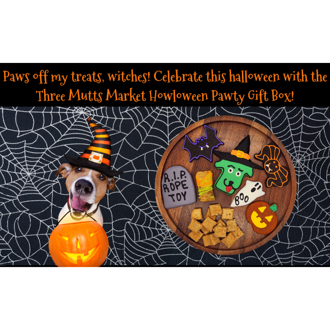 Howloween Pawty Dog Treat Gift Box