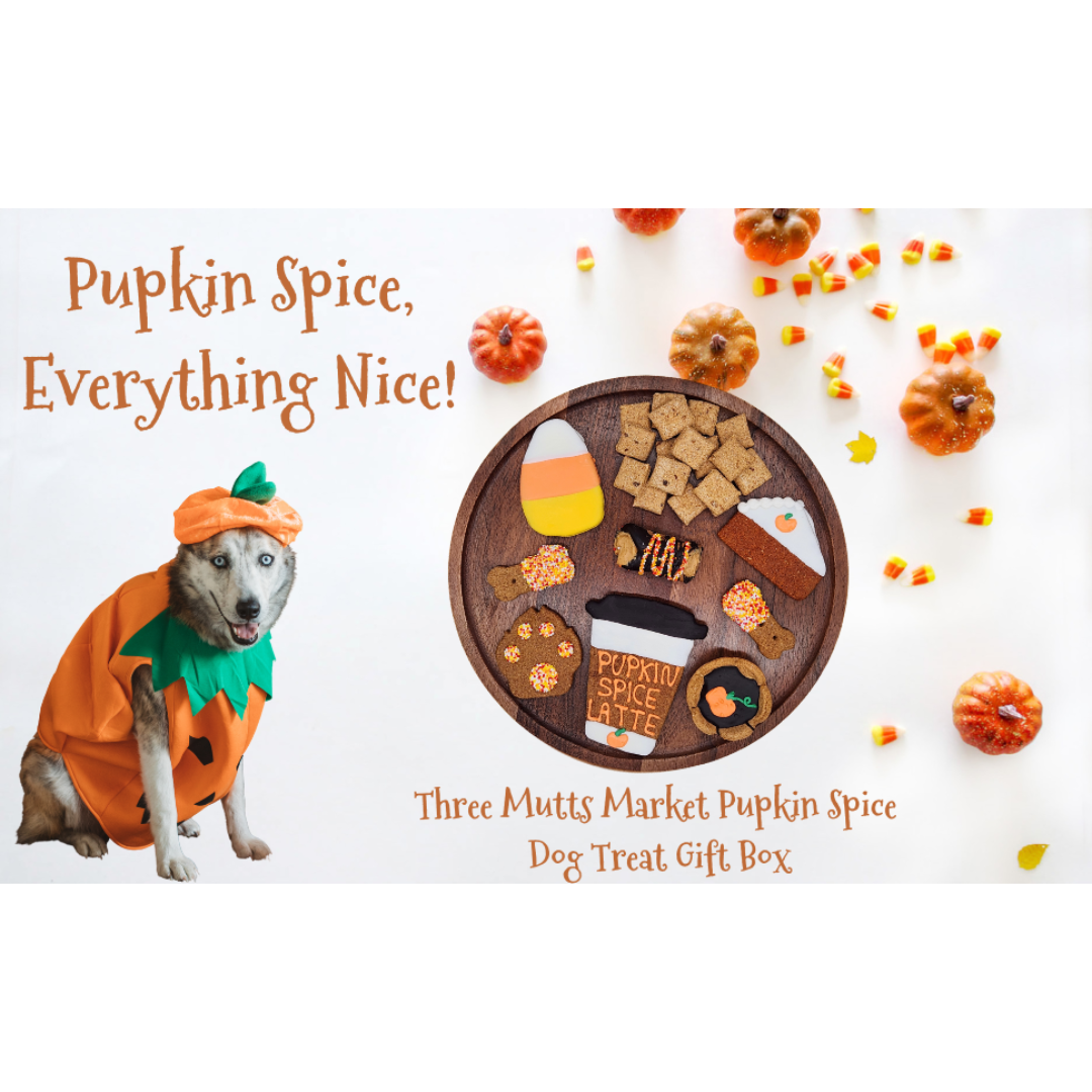 Pupkin Spice Dog Treat Gift Box
