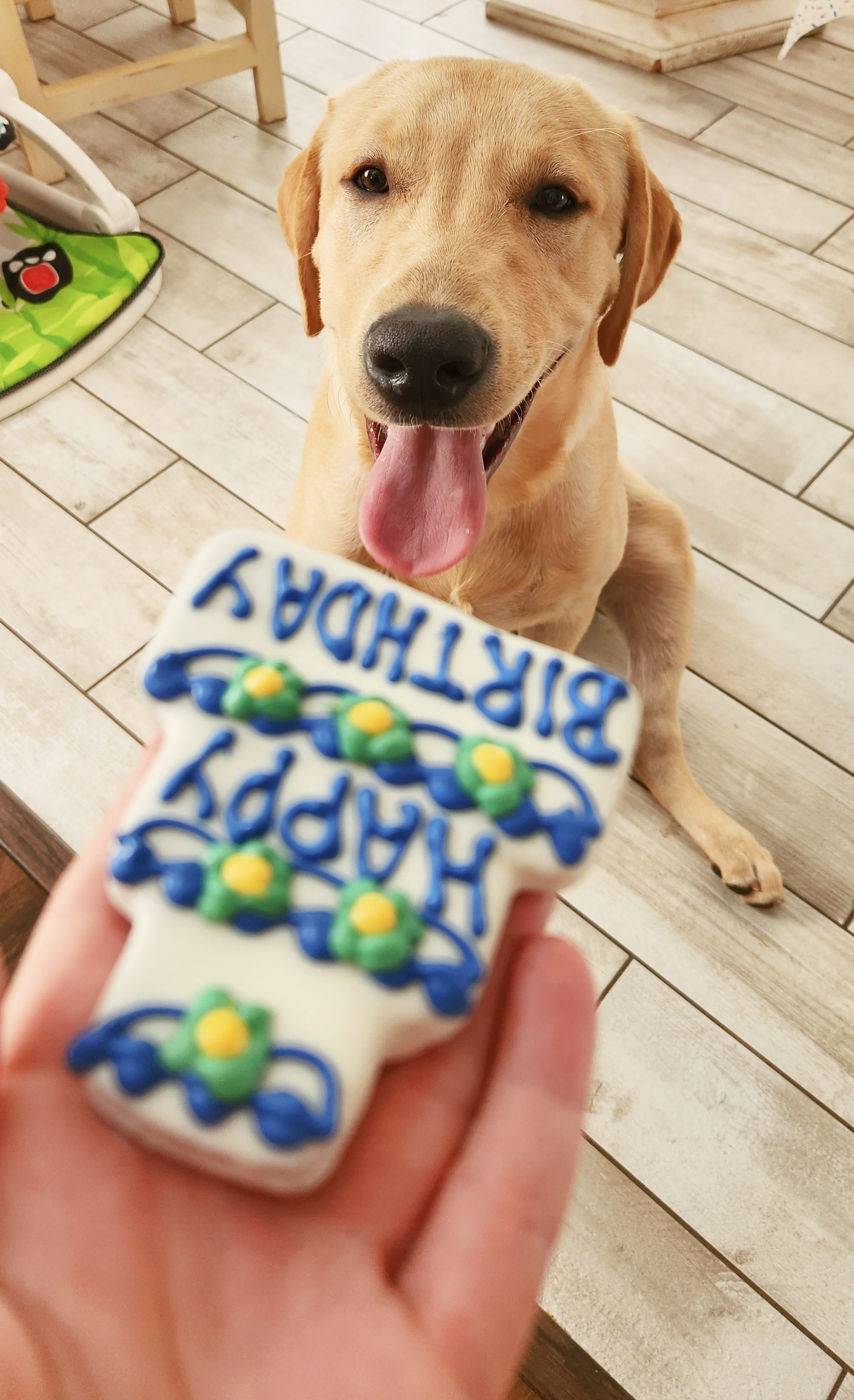 Happy birthday dog outlet treat