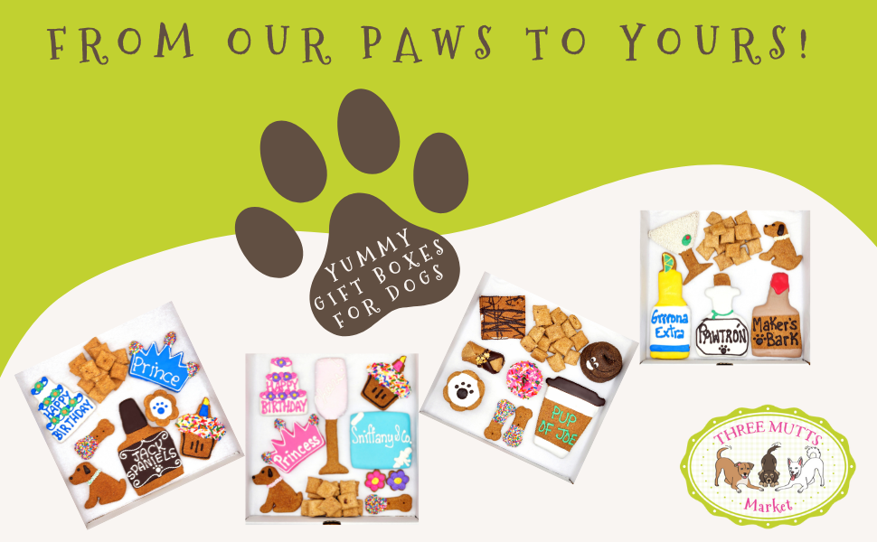 Sunny Days Dog Treat Gift Box